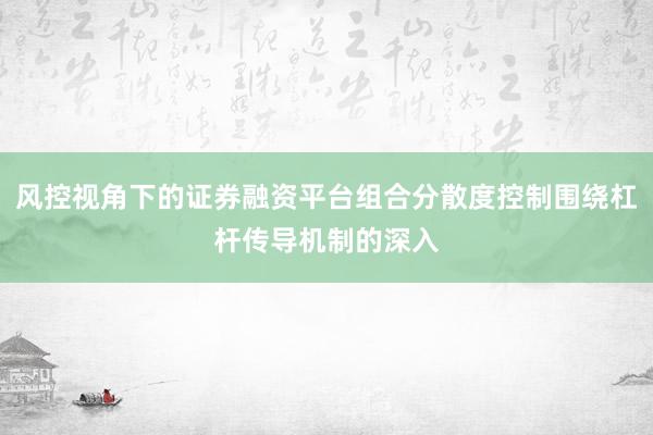 风控视角下的证券融资平台组合分散度控制围绕杠杆传导机制的深入