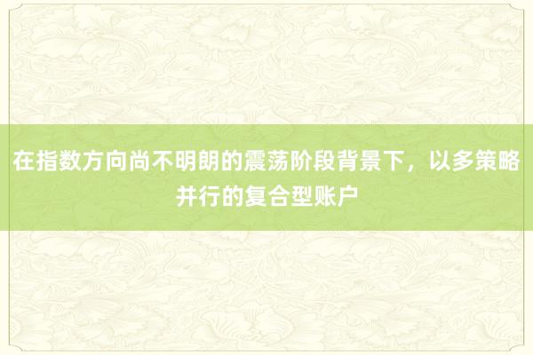 在指数方向尚不明朗的震荡阶段背景下，以多策略并行的复合型账户
