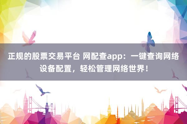 正规的股票交易平台 网配查app：一键查询网络设备配置，轻松管理网络世界！