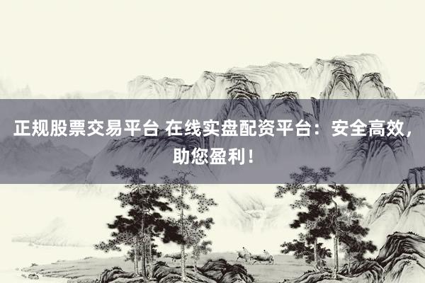 正规股票交易平台 在线实盘配资平台：安全高效，助您盈利！