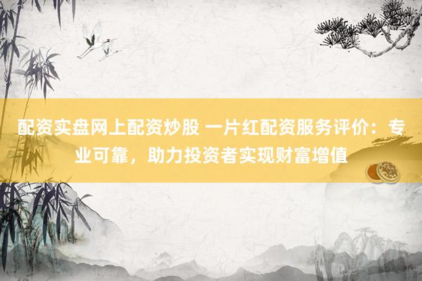 配资实盘网上配资炒股 一片红配资服务评价：专业可靠，助力投资者实现财富增值