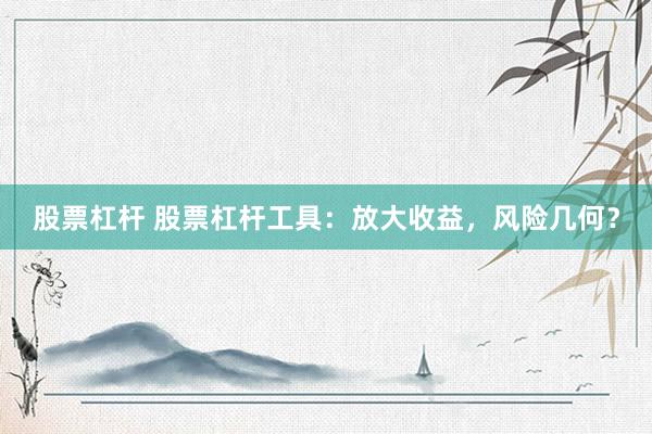 股票杠杆 股票杠杆工具：放大收益，风险几何？