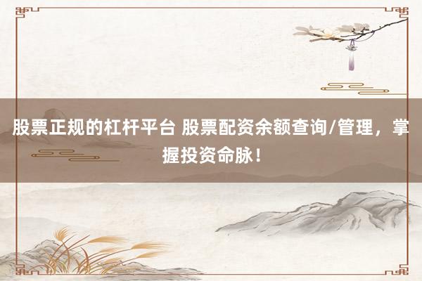 股票正规的杠杆平台 股票配资余额查询/管理，掌握投资命脉！
